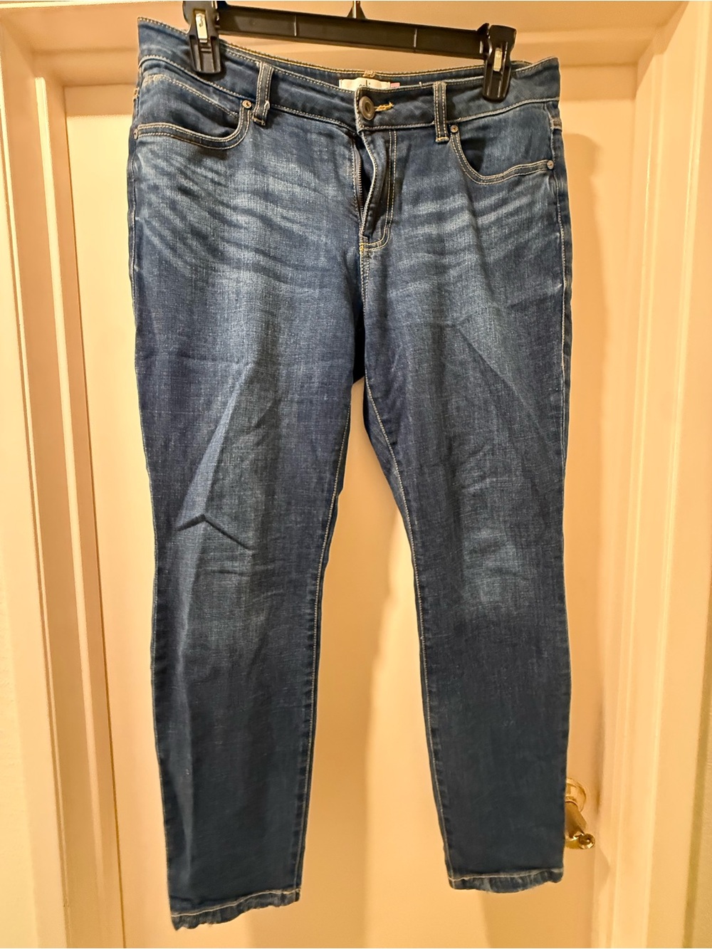 CAbi Women’s Bootcut Jeans in Medium Blue Wash